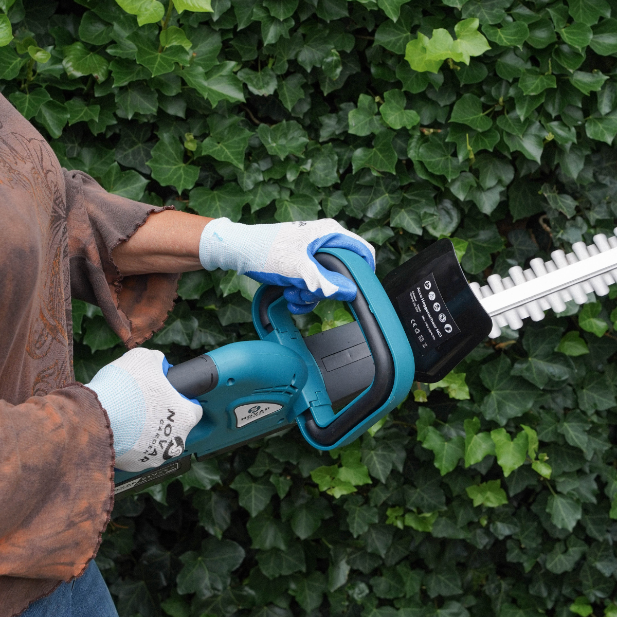 10 Tips voor het onderhouden van de tuin