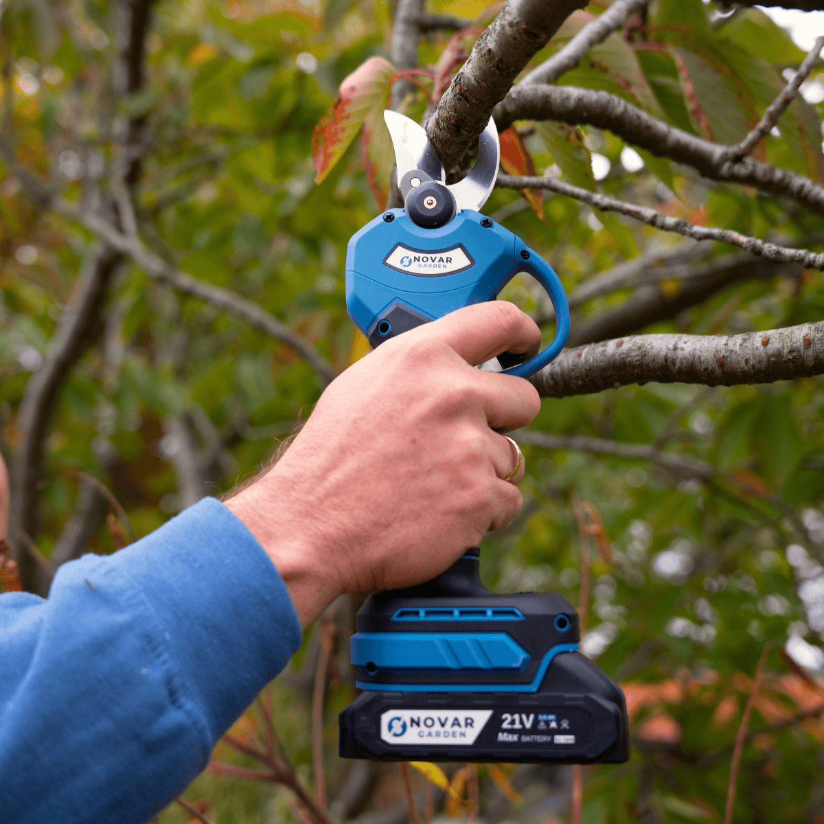 Einzelne Schneidemesser (Set)