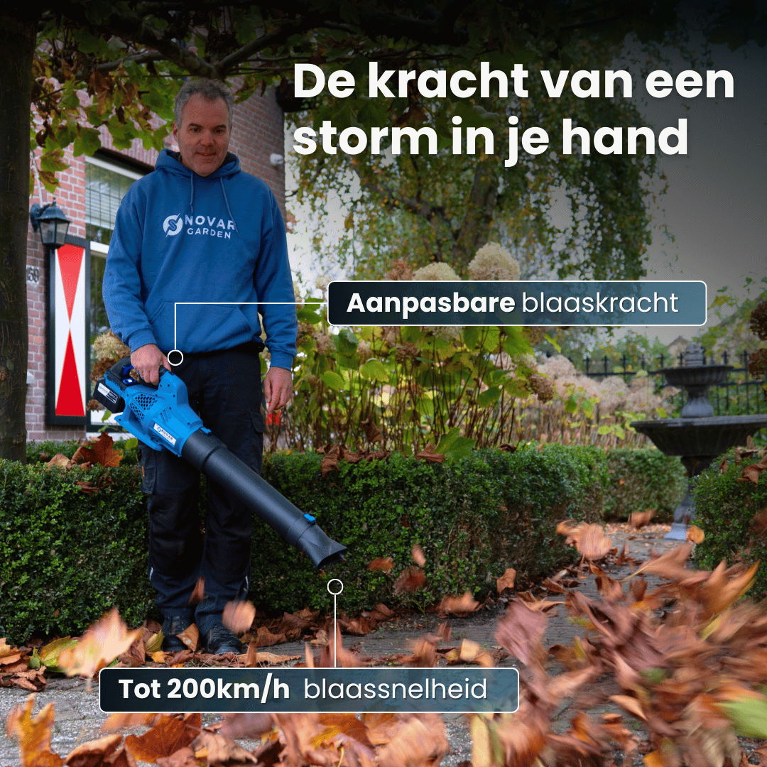 Accu Bladblazer NG2 - Met Accu + GRATIS Accu Snellader NG1