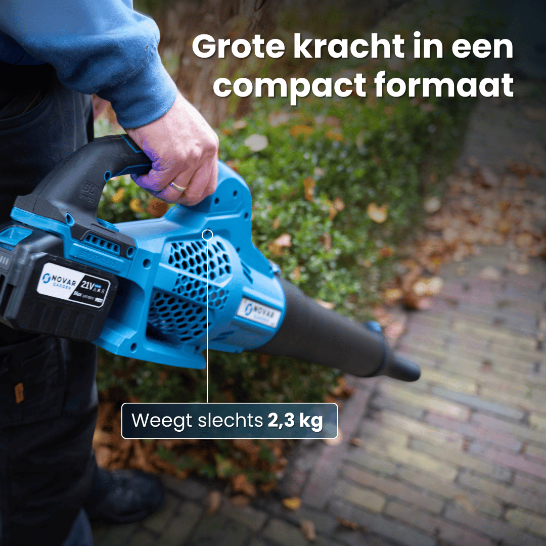 Accu Bladblazer NG2 - Met Accu + GRATIS Accu Snellader NG1