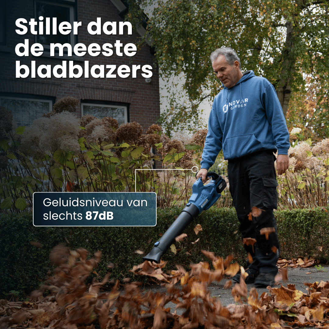 Accu Bladblazer NG2 - Met Accu + GRATIS Accu Snellader NG1