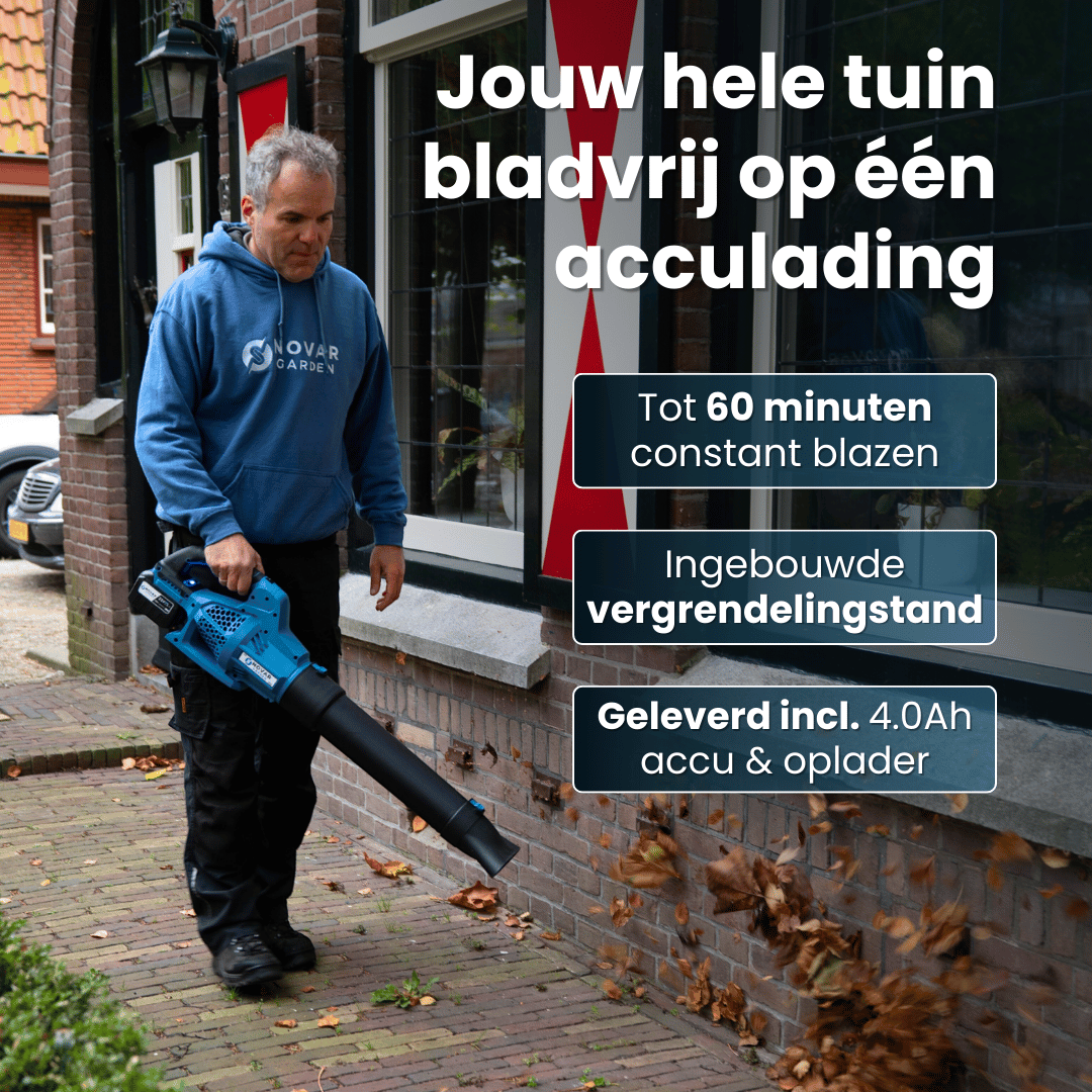 Accu Bladblazer NG2 - Met Accu + GRATIS Accu Snellader NG1