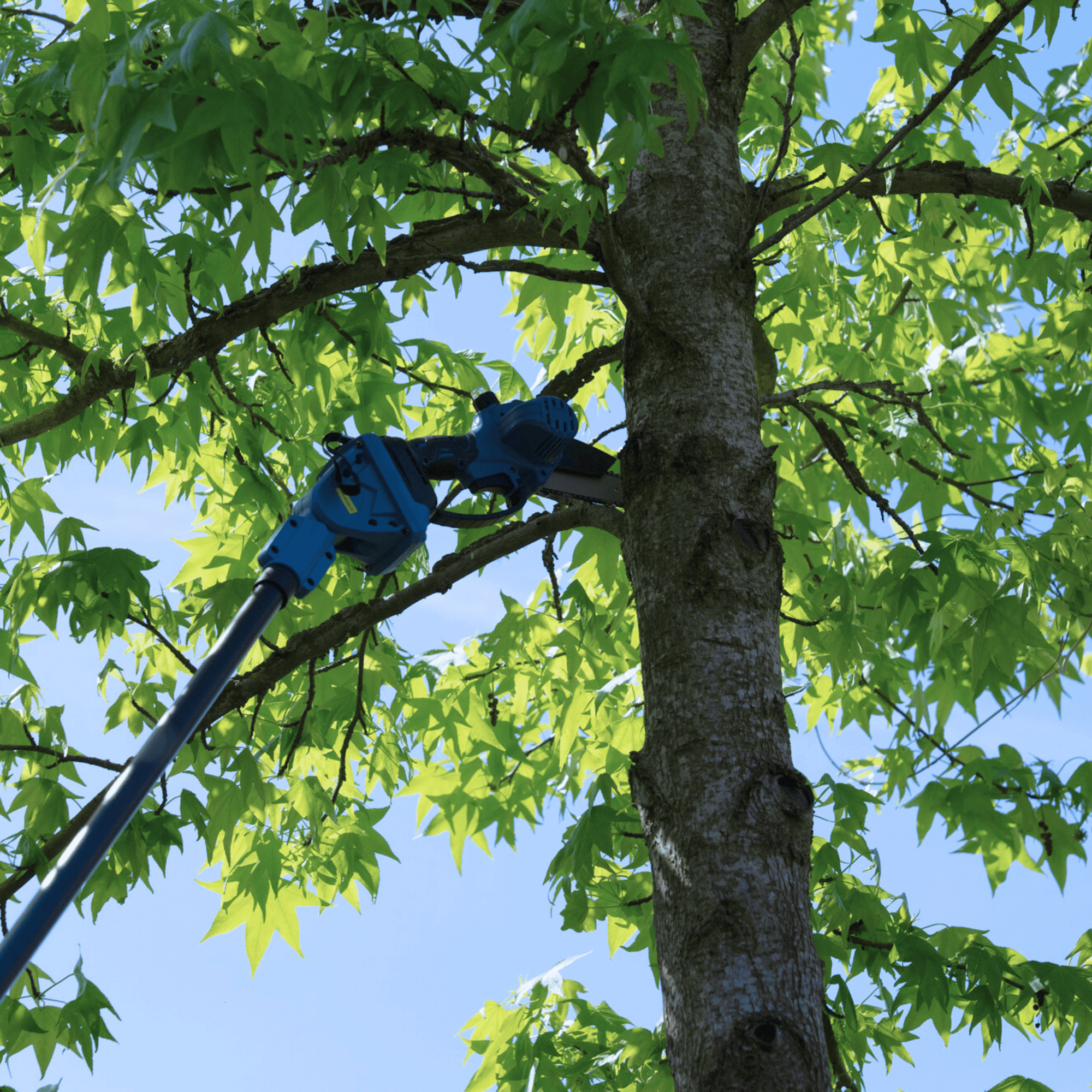 Perche télescopique pour la taille NG2 – avec bandoulière