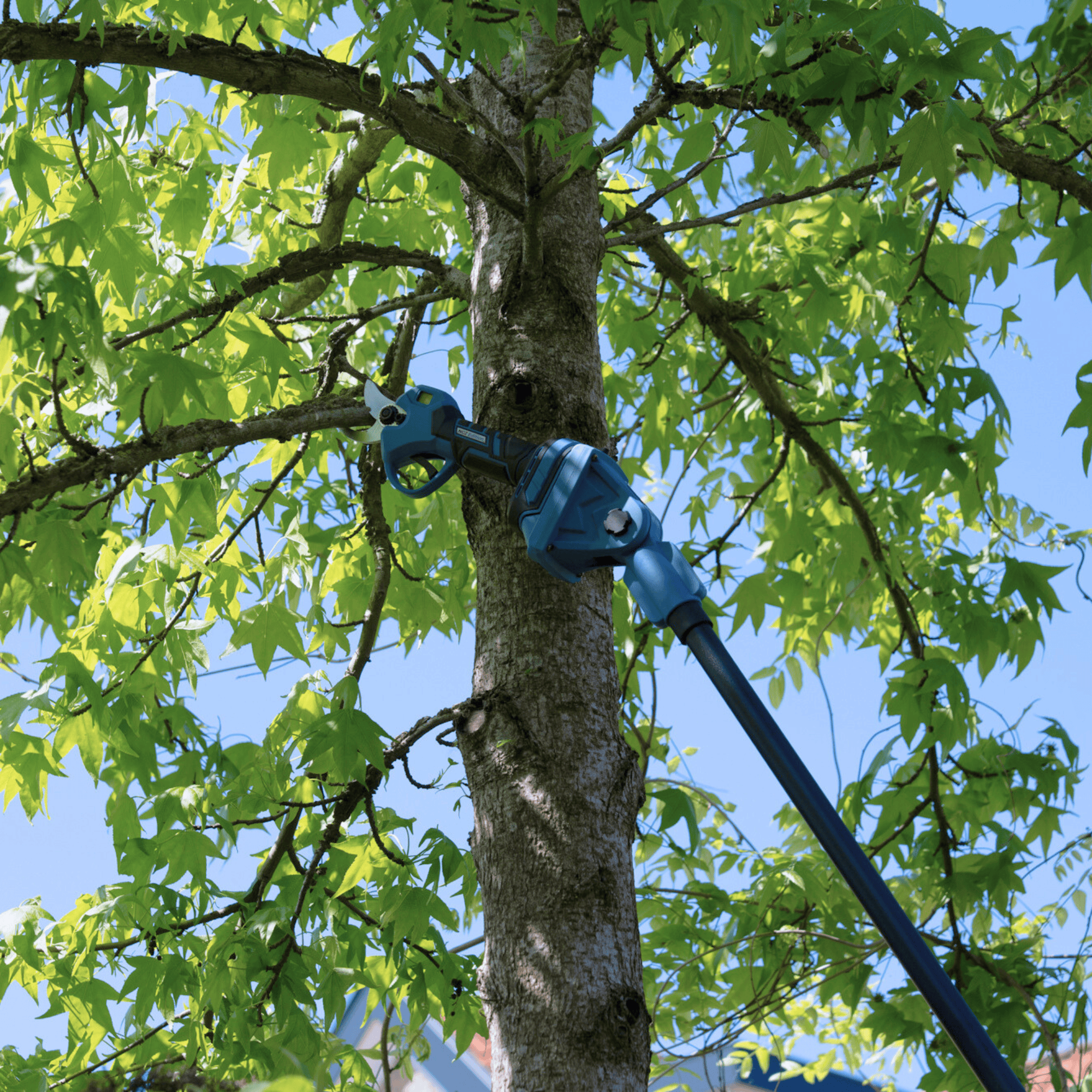 Perche télescopique pour la taille NG2 – avec bandoulière