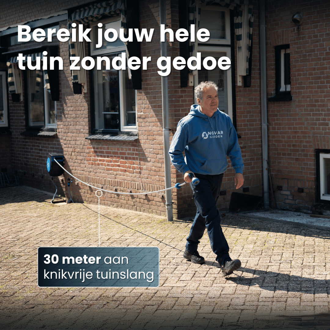 Wandslangenbox NG2 (30M) met Sproeikop