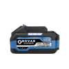 Batterie Séparée 4.0 Ah (21 Volts)
